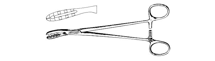 Walton Cartilage Clamp