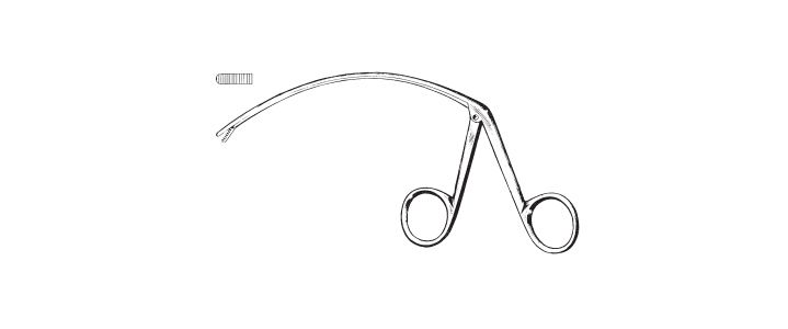 Carroll Tendon Retriever