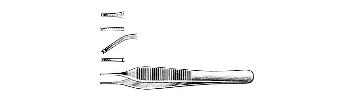 Adson Tissue Forceps, 1 x 2 teeth