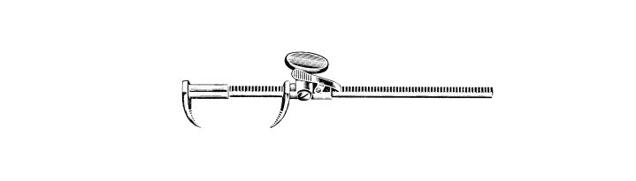 Lemmon Sternal Approximator, Adult