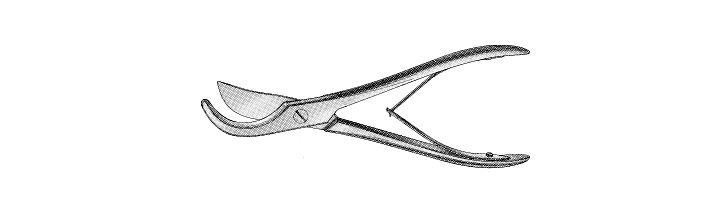 Plain Rib Shears