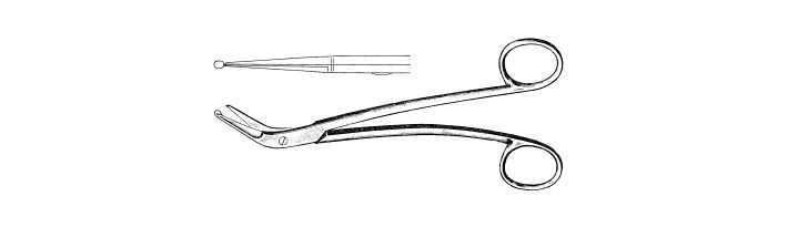 Taylor Dura Scissors