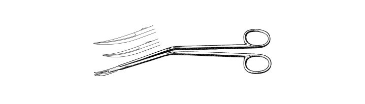 Dandy Trigeminal Scissors