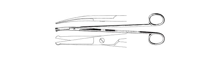 Strully Scissors