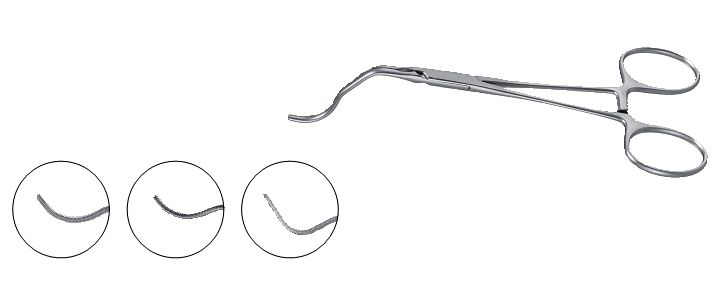 Gregory Profunda Clamp