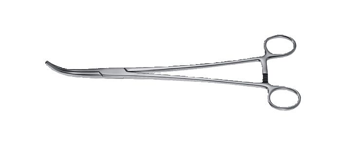 Wertheim Pedicle Clamp