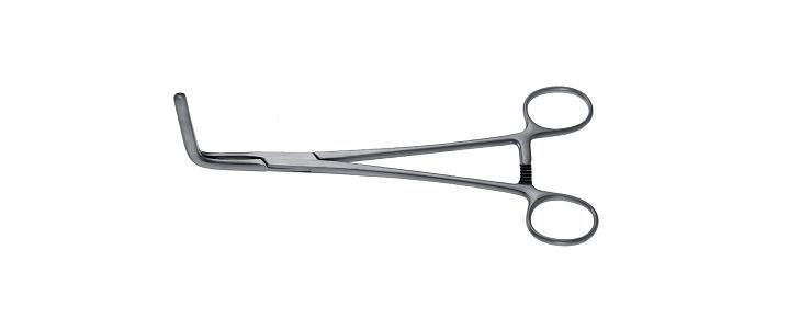 Wertheim-Cullen Pedicle Clamp
