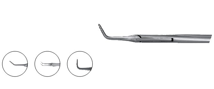 Bailey Forceps