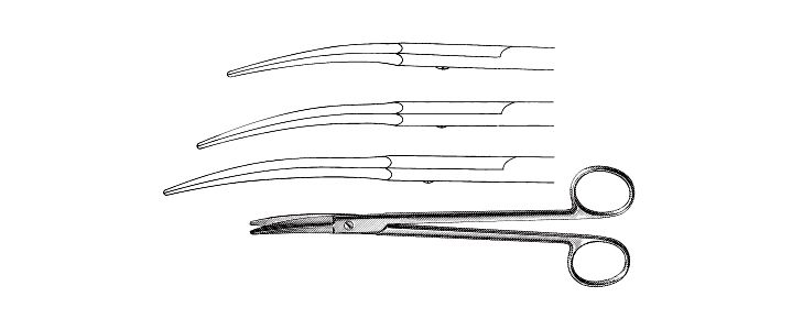 Potts-Smith Dissecting Scissors, Curved