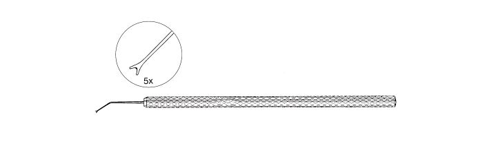 Bechert Nucleus Rotator