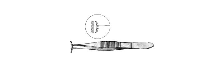 Green Fixation Forceps