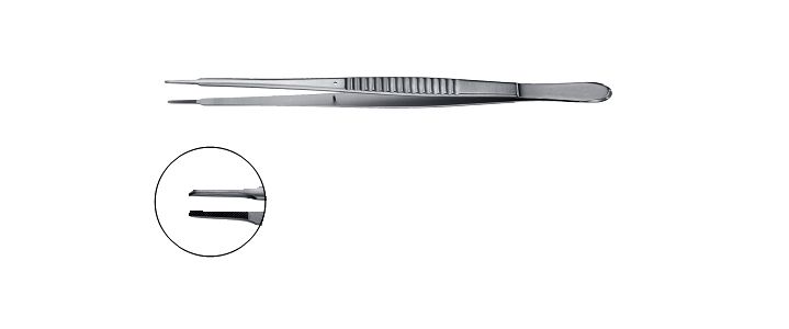 Evans Tissue Forceps, Tungsten Carbide