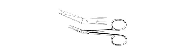 Iris Scissors, Angled on the Side
