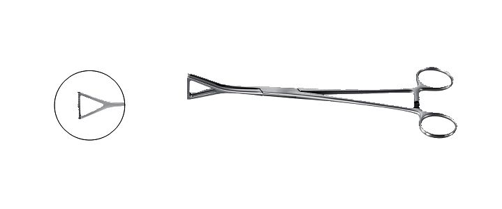Collins Tissue Forceps