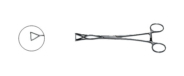 Duval Lung Forceps