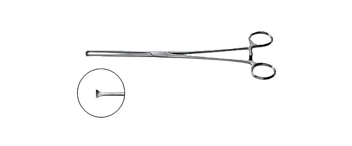 Allis-Willauer Tissue Forceps