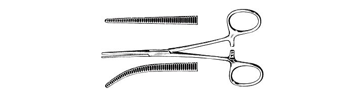 Delicate Pean Forceps