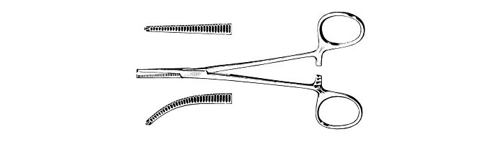 Delicate Ochsner Forceps