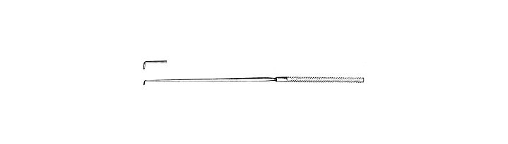 Day Ear Hook