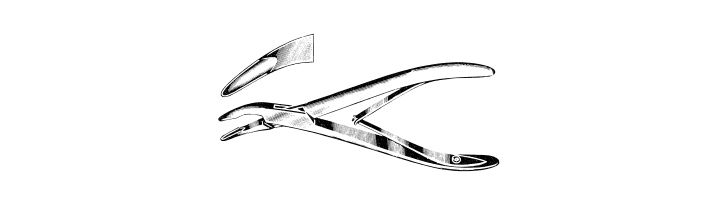 Cicherelli Rongeur