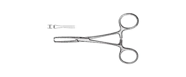 Delicate Allis Tissue Forceps