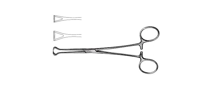 Delicate Babcock Forceps