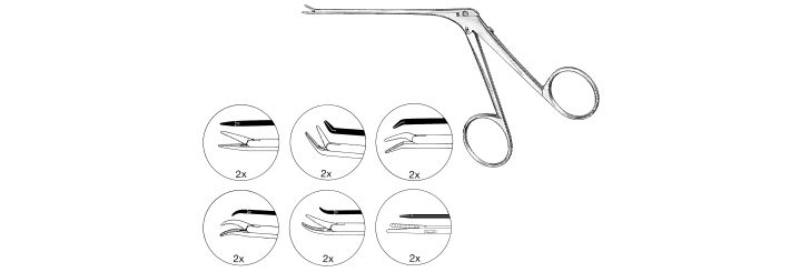 House Alligator Ear Forceps