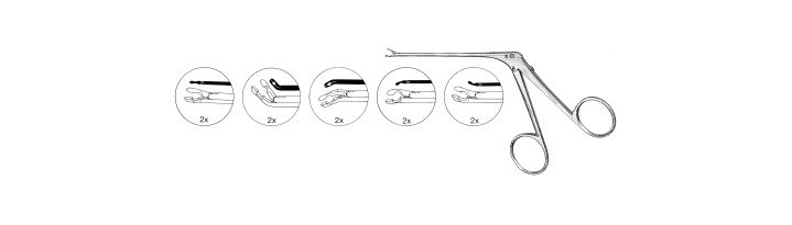 House Alligator Ear Forceps