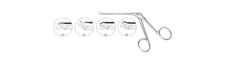 Bellucci Alligator Scissors