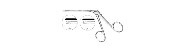 House-Dieters Malleus Nipper