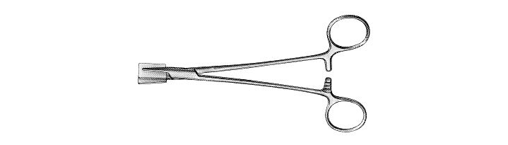 Sheehy Fascia Press