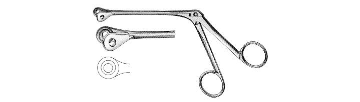 Lewis Septum Forceps