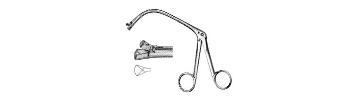 King Adenoid Punch