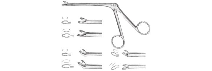Blakesley Thru-Cutting Forceps