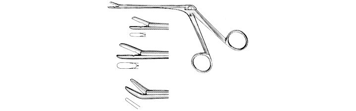 Takahashi Forceps
