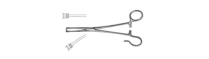 Colver Tonsil Seizing Forceps