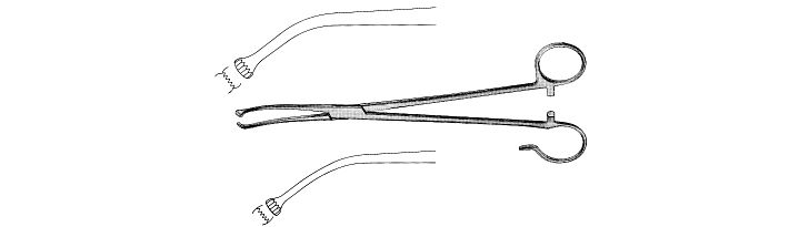 White Tonsil Seizing Forceps
