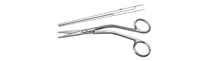 Goldman Dorsal or Septum Scissors