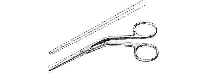 Cottle Dorsal Scissors