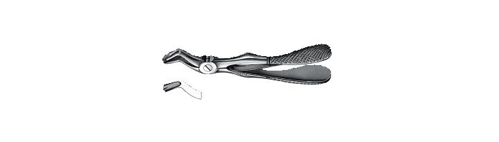 Dental Extraction Forceps, English Pattern