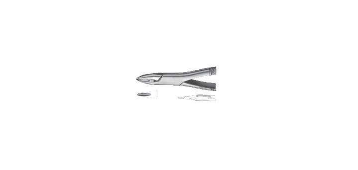Hanahan Extraction Forceps