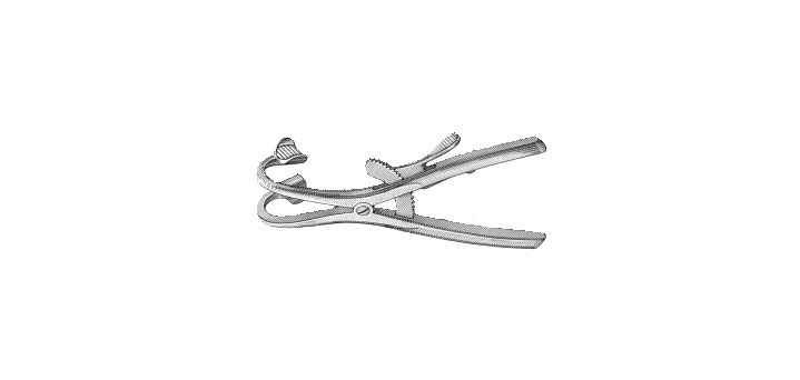Denhardt Mouth Gag, with Grip Lock