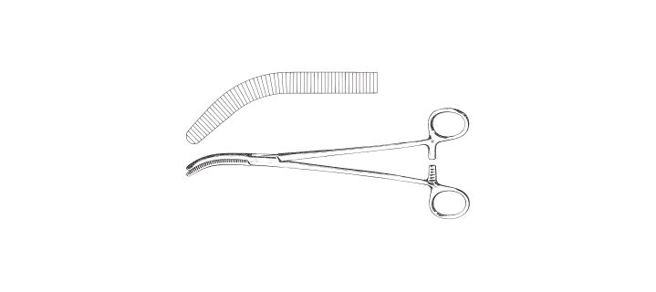 Wertheim Pedicle Clamp