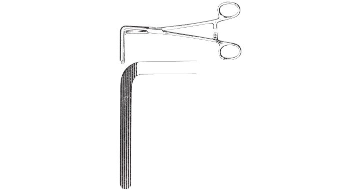 Wertheim-Cullen Pedicle Clamp