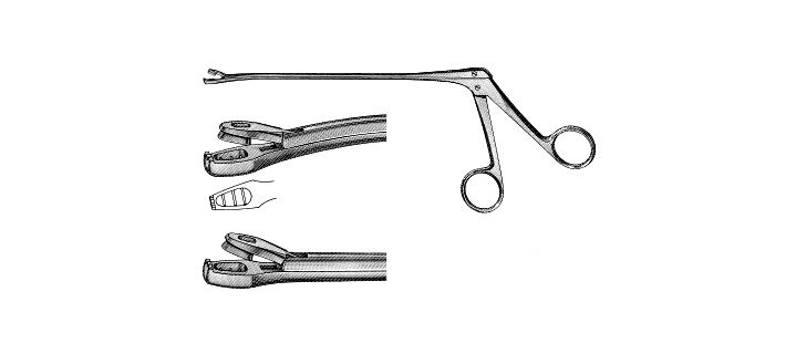 Wittner Biopsy Forceps