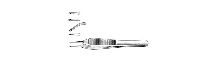 Adson Tissue Forceps, 1 x 2 teeth