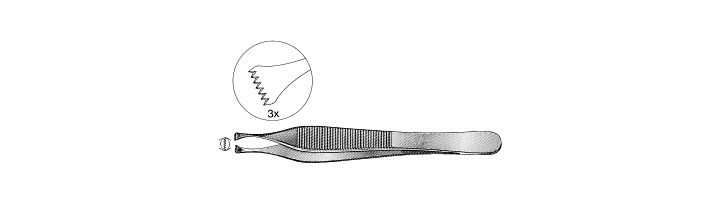 Beasley-Babcock Tissue Forceps