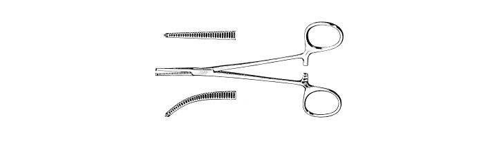Delicate Ochsner Forceps