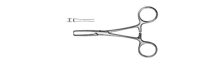 Delicate Allis Tissue Forceps