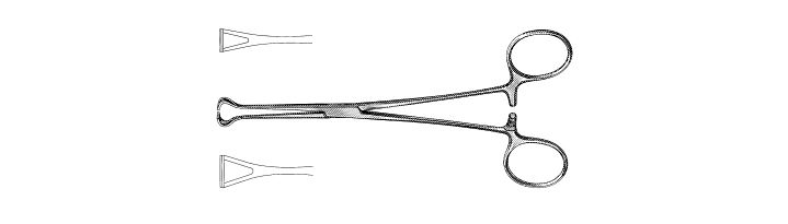 Delicate Babcock Forceps